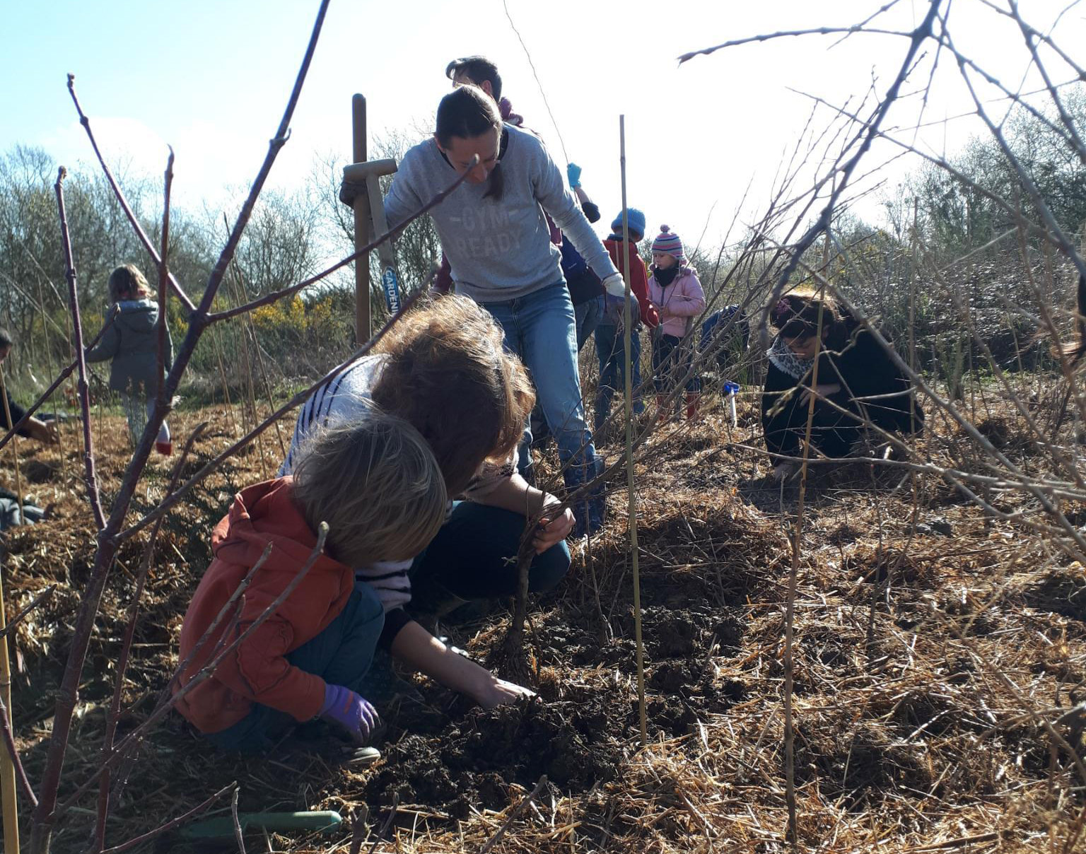 plantation-mini-foret-miyawaki-chantepie-recadree