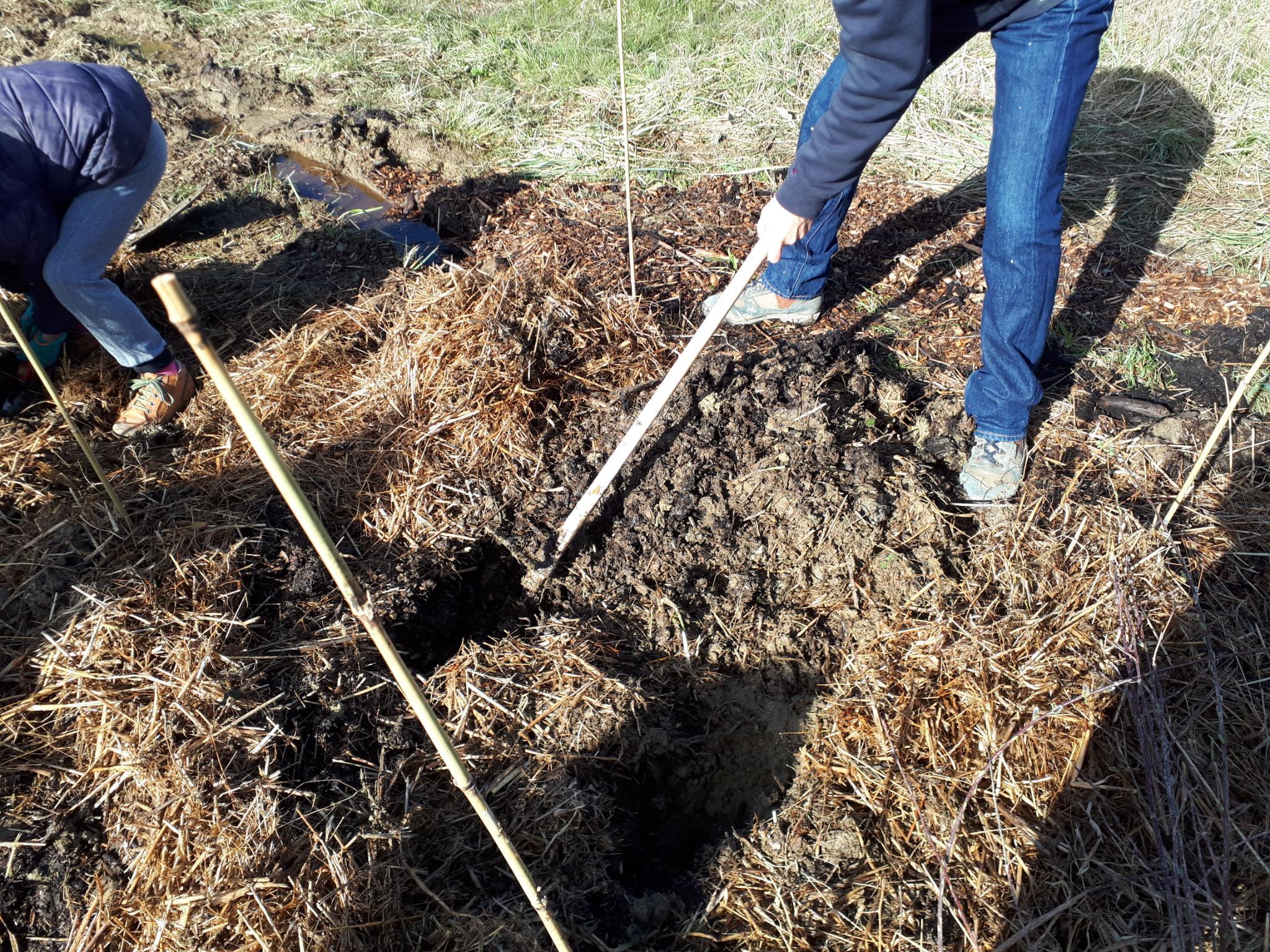 plantation-mini-foret-miyawaki-chantepie2