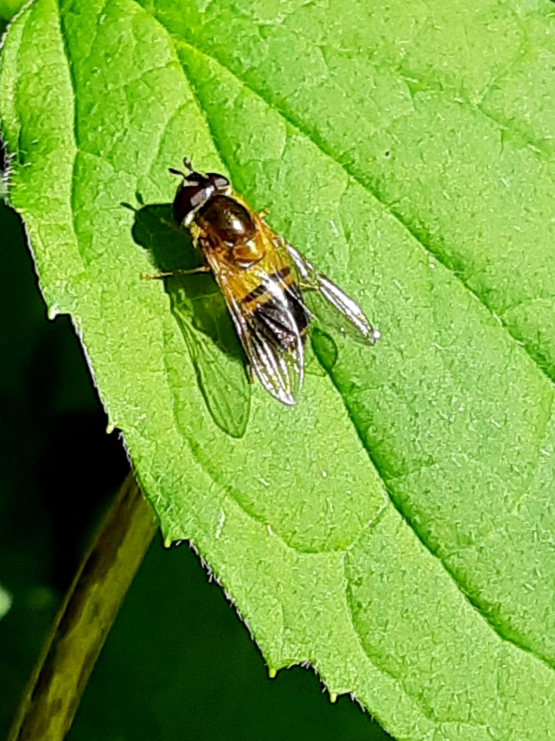 20230404_140135_v1.jpg