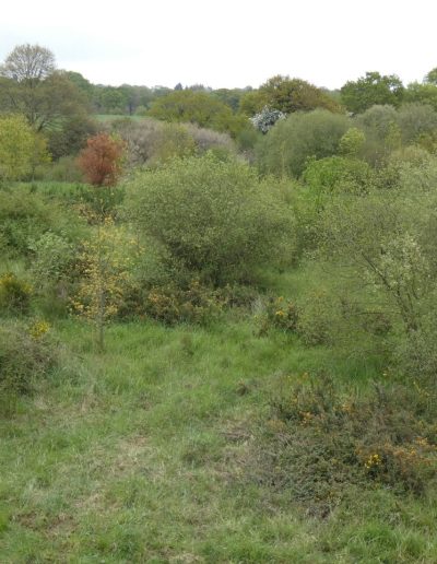 Paradis à bestioles