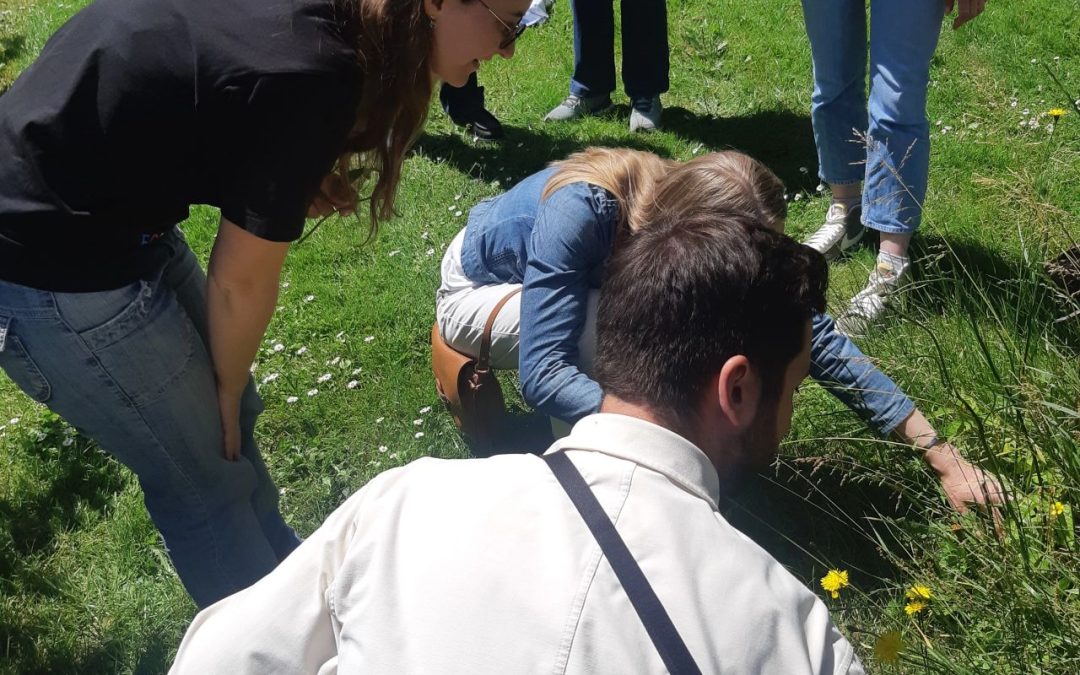 Balade nature en entreprise , bilan après 6 mois