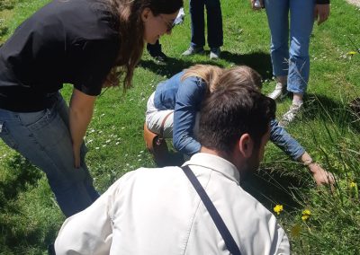 Balade nature en entreprise , bilan après 6 mois