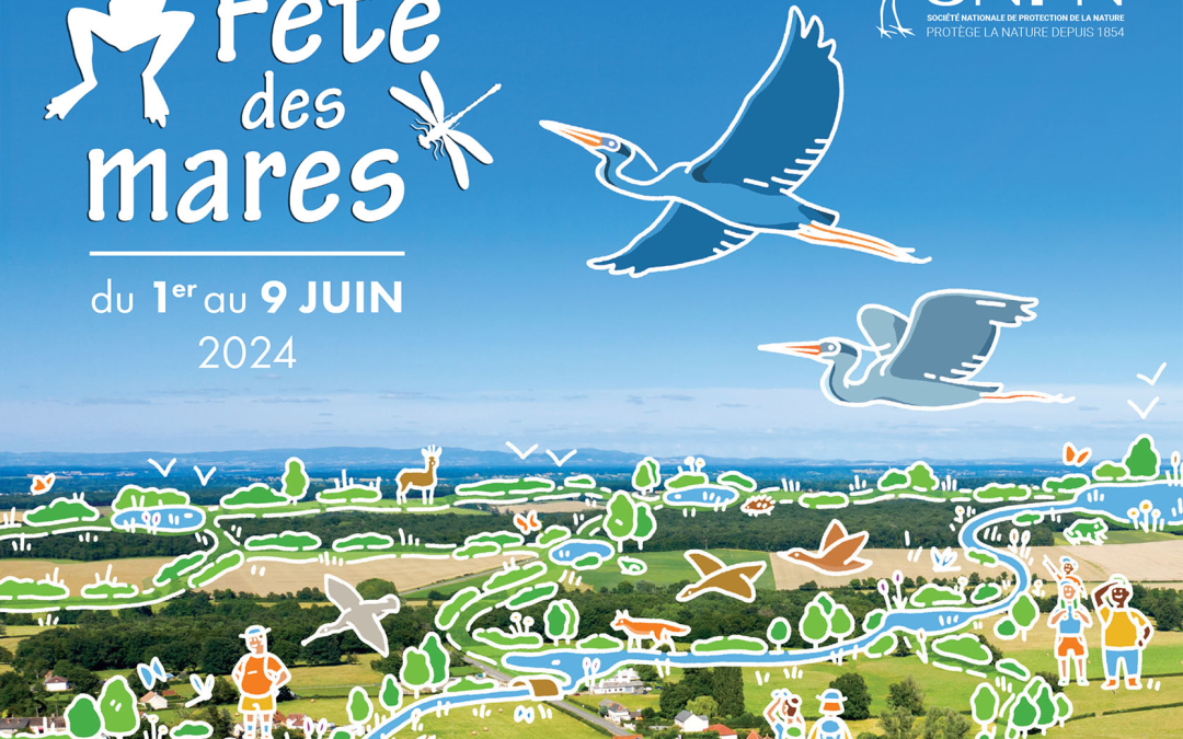 Balade nature : les mares