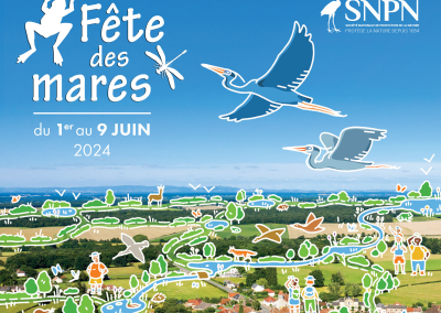 Balade nature : les mares